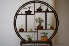 001 Mini display