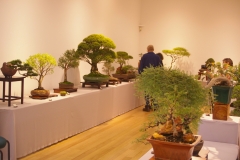 Display area 1