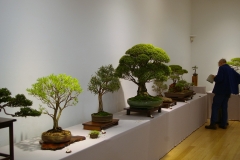 Display area 2