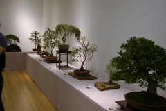 Display area 3