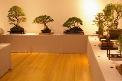 Display area 4