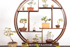 49 Miniature display