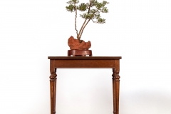 14-Kunzea-peduncularis