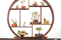 45-Assorted-minis-LR